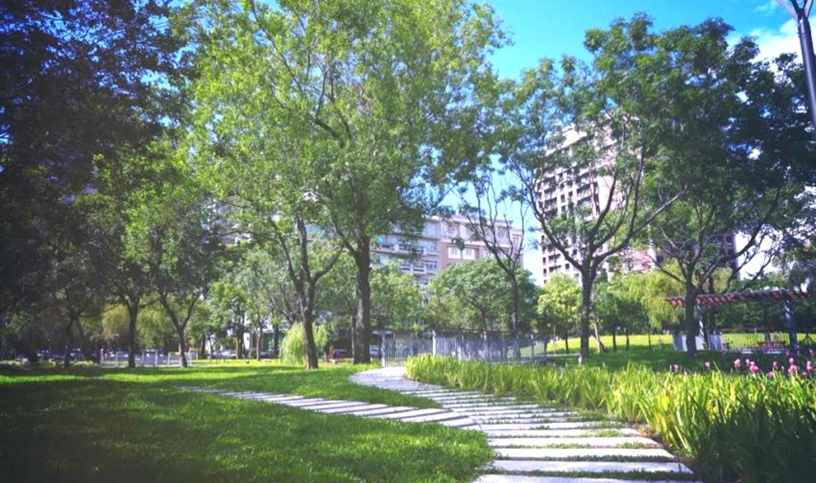 新竹縣竹北市-竹北六張犁東興圳