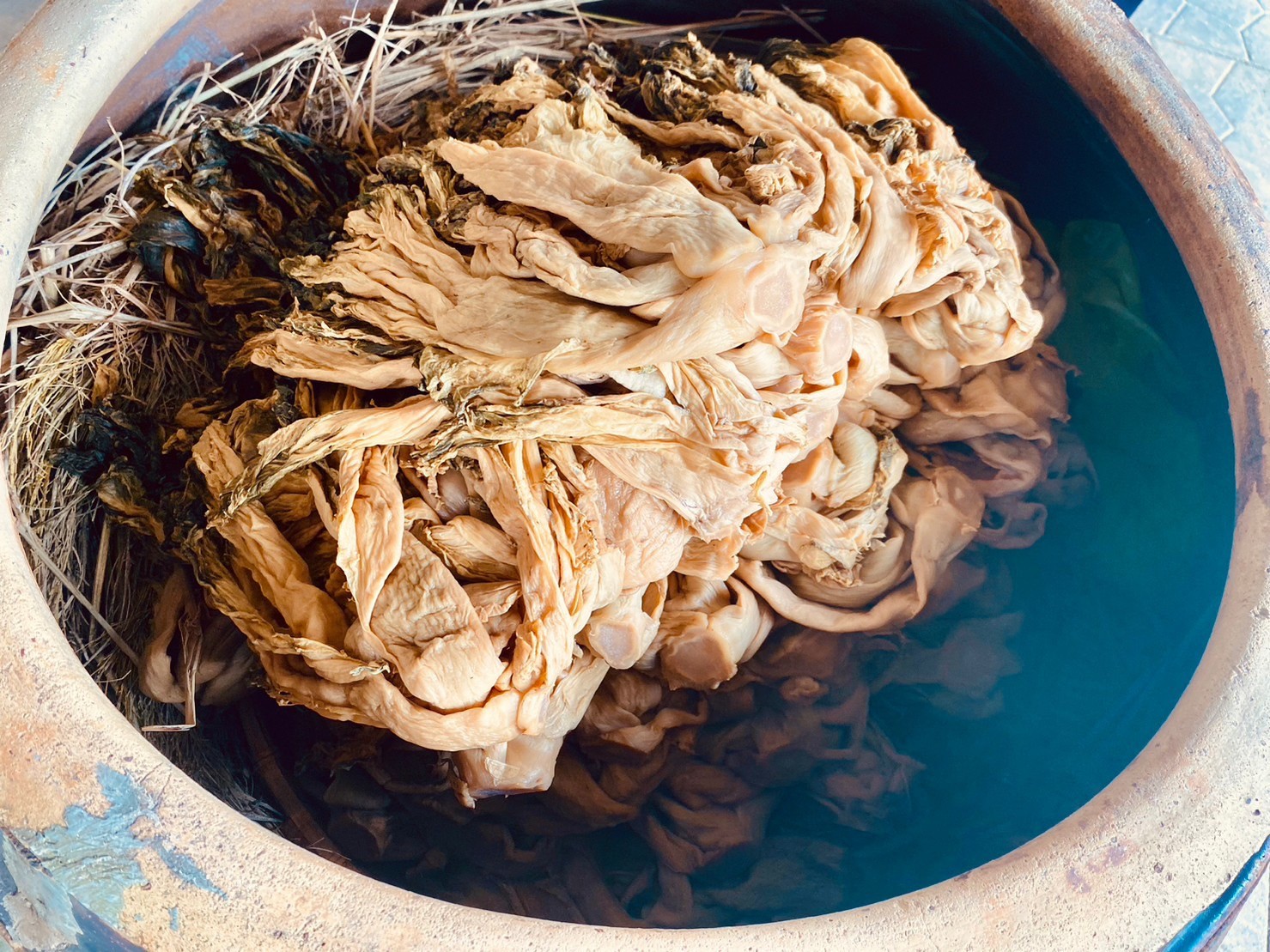 甕缸內的福菜.jpg