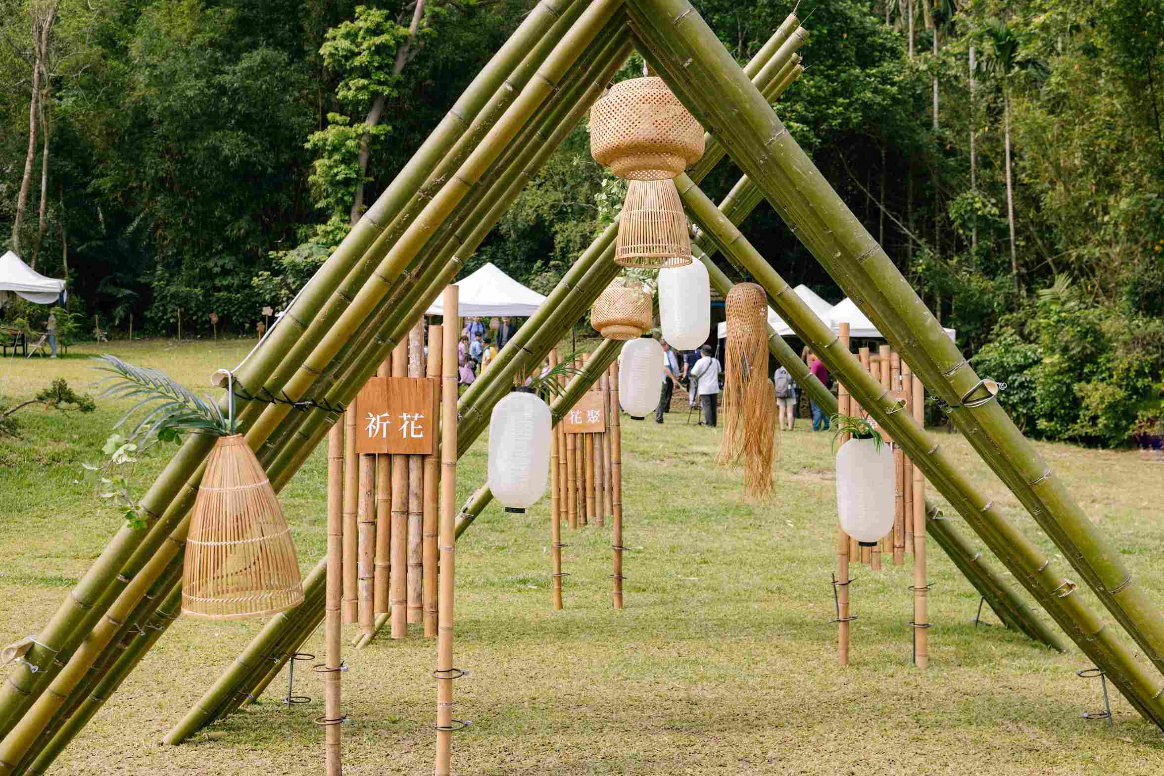 圖6「2024桐花祭」主視覺藝術裝置，以竹子搭建小廊道迎賓.jpg