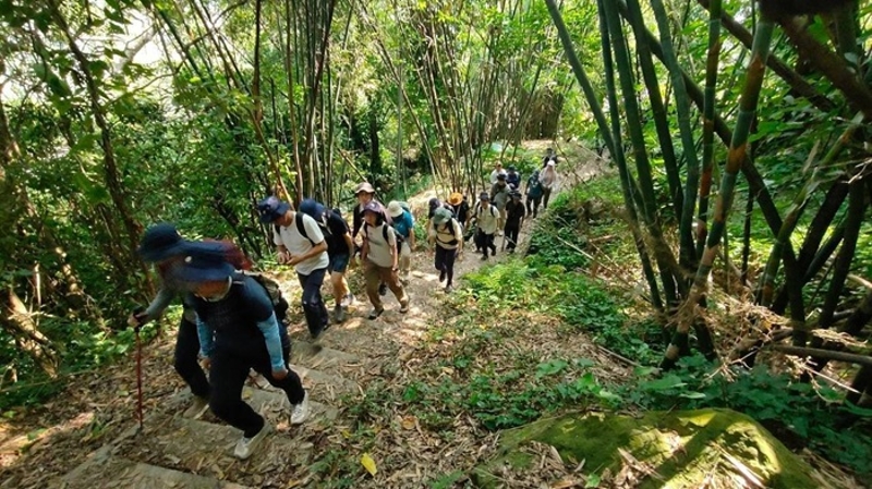 樟之細路步道
