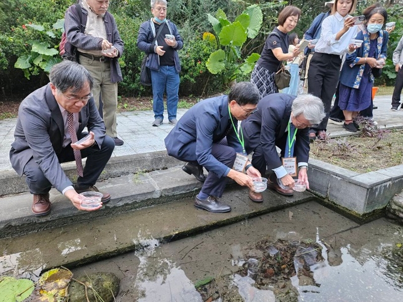 六堆慶秋收 千人食福宴 國際賓客也驚艷,「條紋小䰾」異地復育放流活動(左起台南藝術大學邱上嘉校長、客發中心何金樑主任、吉田憲司名譽教授)