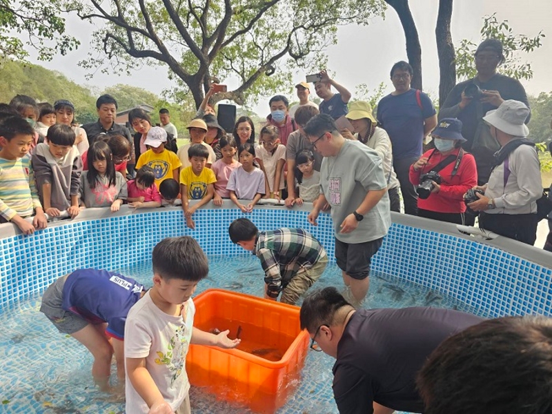 六堆文化園區懷舊體驗客庄田園童時樂趣，民眾與「愛客樂」樂團體驗捉湖鰍仔(捉泥鰍)