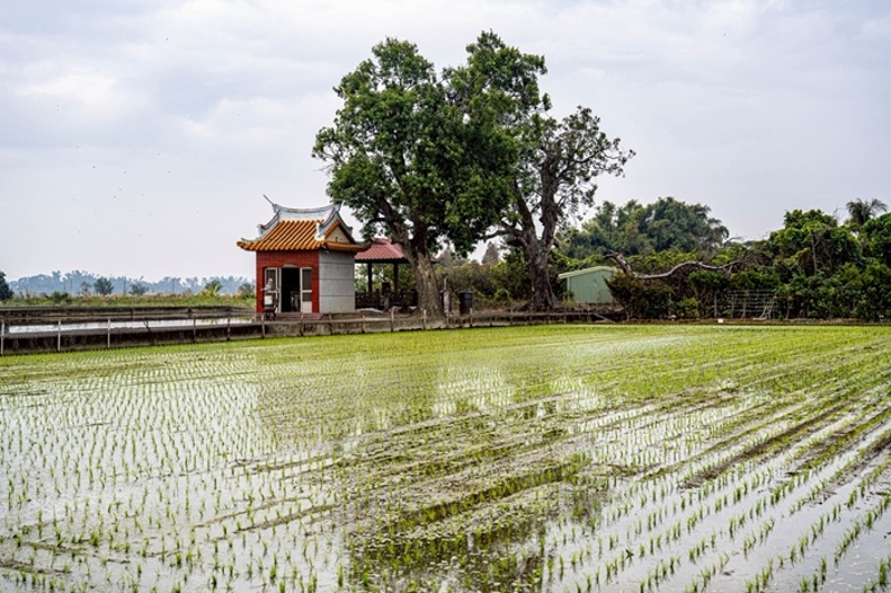 白河三角潭庄福德廟1
